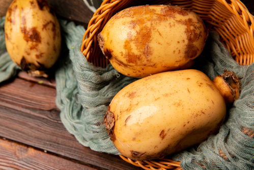 蓮藕 玉藕玲瓏，節(jié)日佳肴與苗木之美